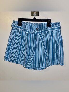 Size 14 American Eagle Blue and White Striped Mom Shorts